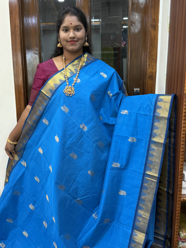 Silk Cotton Medium Body Buttas Ananda Blue And Violet(SCMBB52)